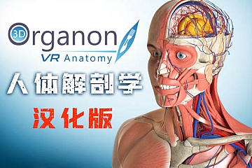 Oculus Quest 游戏《人体解剖学VR》High School Anatomy for Quest