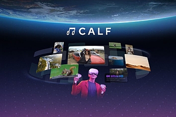 Oculus Quest 应用《开飞视频》Calf  VR下载