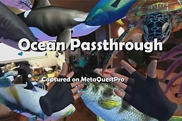 Oculus Quest 游戏《海洋世界》Ocean Passthrough VR下载